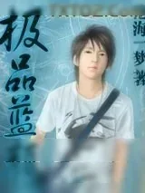 《极品蓝颜》小说封面