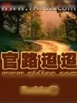 《官路迢迢》小说封面