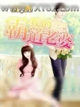 《我的霸道老婆》小说封面