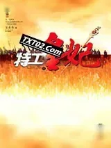 《特工皇妃》小说封面