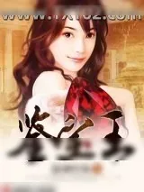 《鉴宝王》小说封面