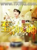 《至尊小厨神》小说封面