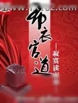 《布衣官道》小说封面