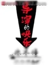 《导演的快乐你不懂》小说封面
