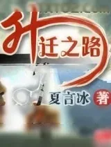 《升迁之路》小说封面