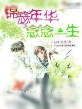 《锦瑟年华念念一生》小说封面
