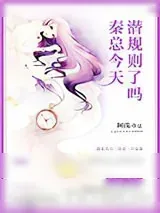 《秦总，今天潜规则了吗》小说封面