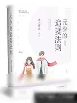 《元少的追妻法则》小说封面