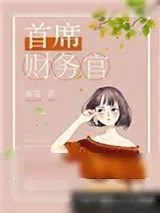 《首席财务官》小说封面