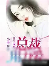 《日久成瘾：总裁，用力爱》小说封面