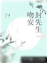 《吻安，封先生》小说封面