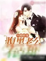《腹黑老公有点甜》小说封面