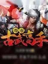《都市古武高手》小说封面
