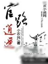 《官路逍遥》小说封面