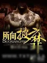 《所向披靡》小说封面
