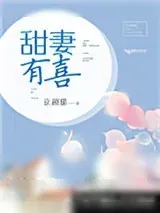 《甜妻有喜》小说封面