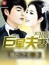 《巨星夫妻》小说封面