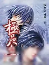 《极品公子》小说封面
