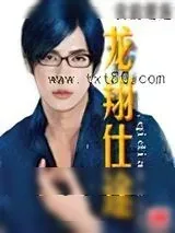 《龙翔仕途》小说封面
