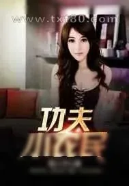 《功夫小农民》小说封面