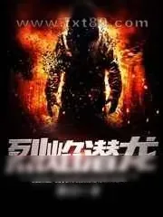 《烈焰潜龙》小说封面