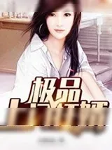 《极品上门狂婿》小说封面