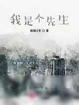 《我是个先生》小说封面