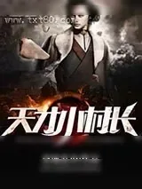 《天才小村长》小说封面