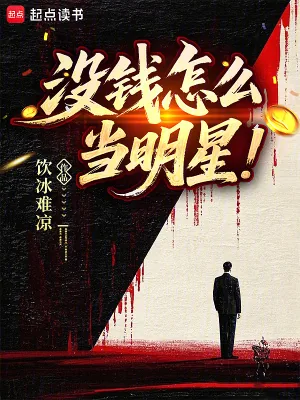 《没钱怎么当明星》小说封面