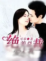 《绝美总裁爱上我》小说封面