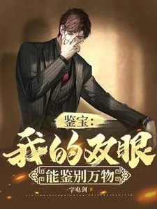 《鉴宝：我的双眼能鉴别万物》小说封面