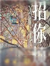 《招你烦》小说封面