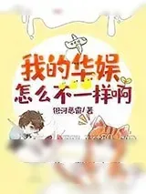《我的华娱怎么不一样啊》小说封面