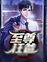 《至尊狂爸》小说封面