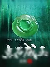 《点石成玉》小说封面