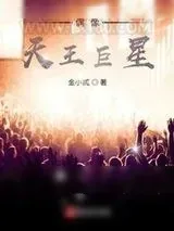 《偶像天王巨星》小说封面