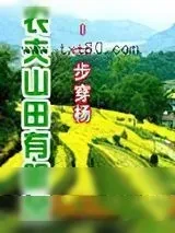 《农夫山田有眼泉》小说封面