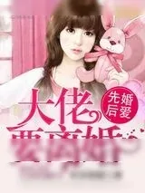 《婚婚来迟》小说封面