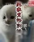 《超级宠物制造池》小说封面