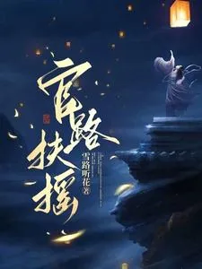 《崔向东楼晓雅》小说封面