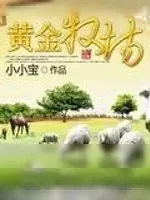 《黄金牧场》小说封面