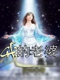 《我的老婆是仙子》小说封面