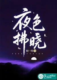 《夜色拂晓》小说封面