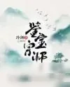 《鉴宝王》小说封面