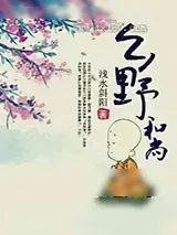 《乡野和尚》小说封面