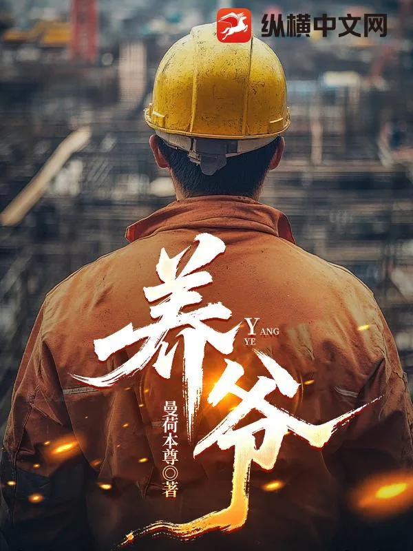 《养爷》小说封面