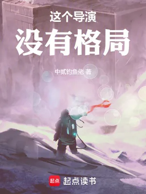 《这个导演没有格局》小说封面