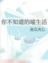 《你不知道的喵生活》小说封面