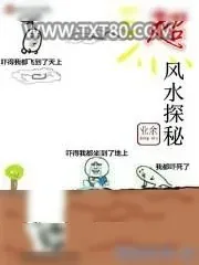 《易》小说封面