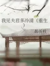 《我见夫君多冷清（重生）》小说封面
